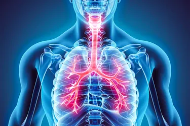 When you breathe, air makes its way to your bronchial tubes, which are in the lungs. Bronchitis causes inflammation of these tubes. (Photo Credit: iStock/Getty Images)