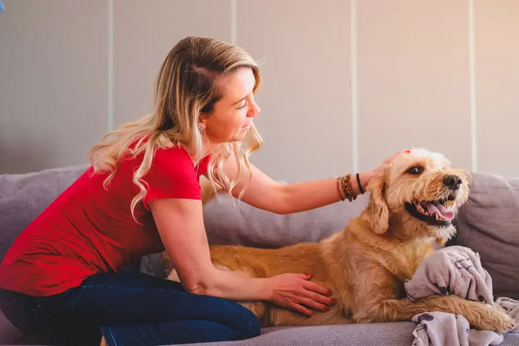 photo of  woman playing with her dog