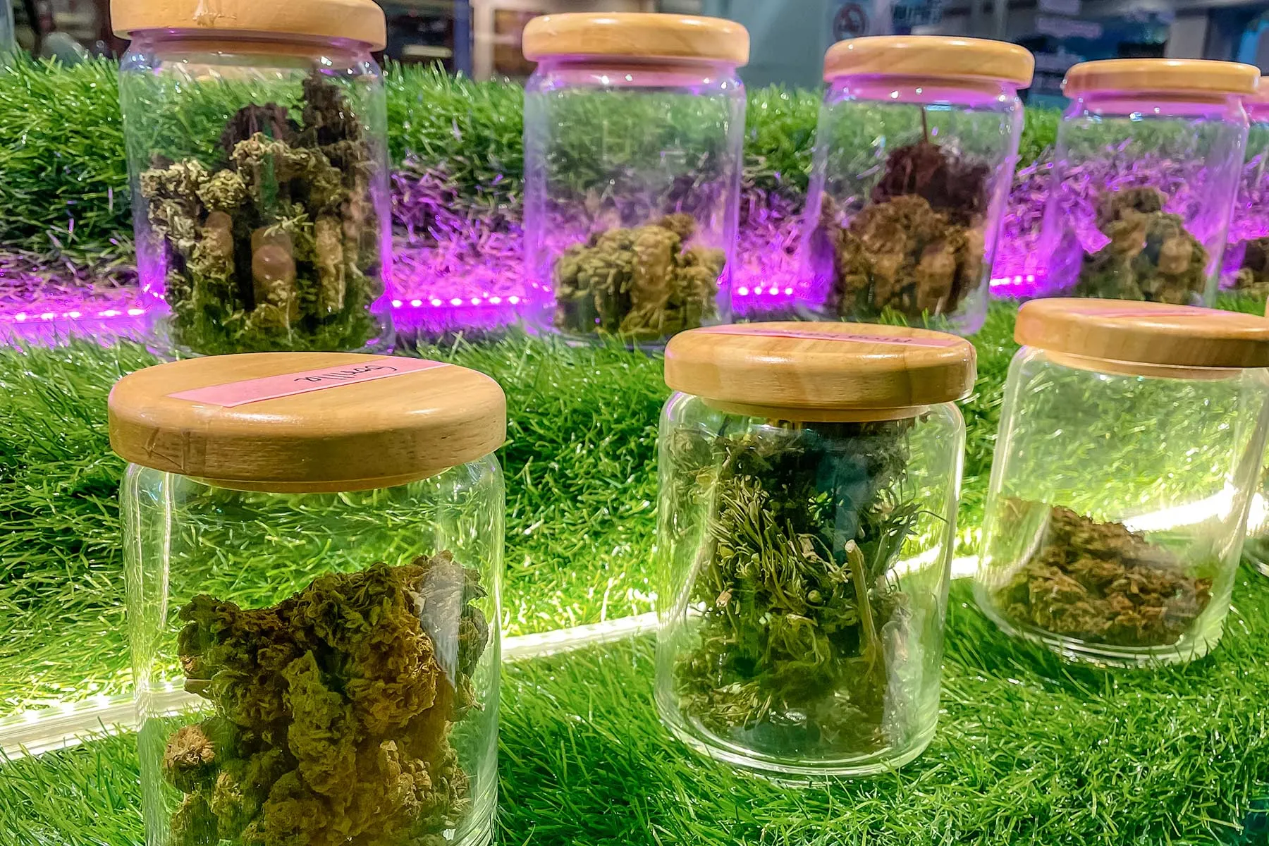 photo of cannabis varieties for sale in market