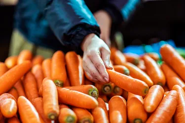 You probably know carrots are good for your eyes. But they also are good for your heart, your weight, and even your teeth. (Photo Credit: Moment RF/Getty Images)