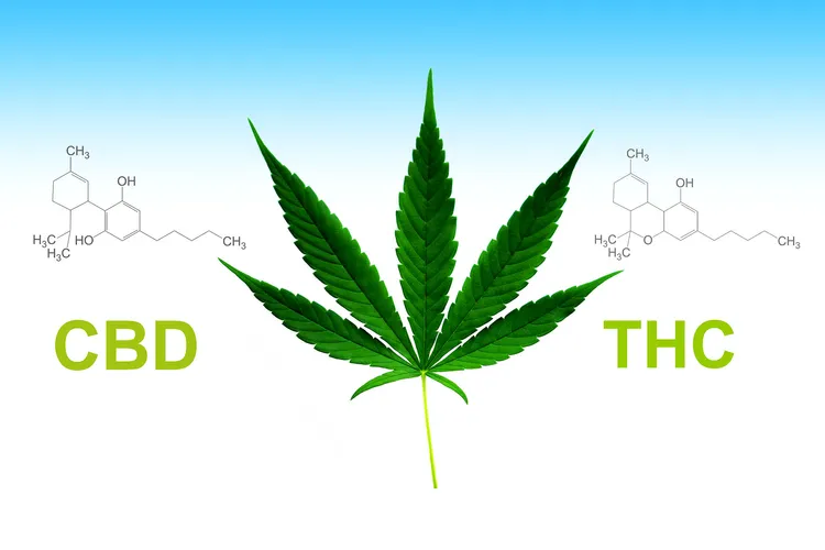 photo of cbd thc chemical structure