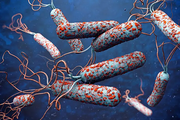 illustration of cholera bacteria