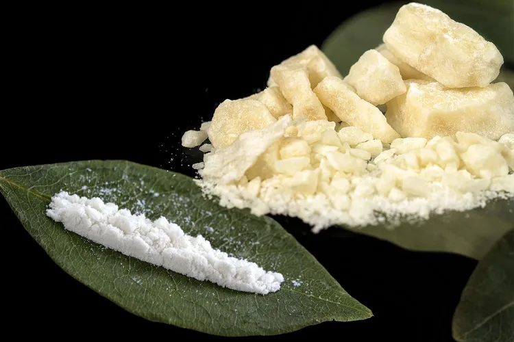 photo of cocaine, crack and coca leaves.