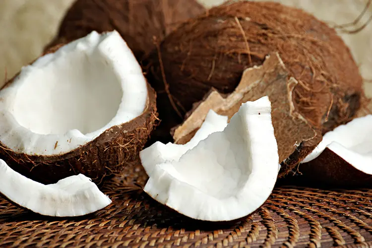 photo of coconuts