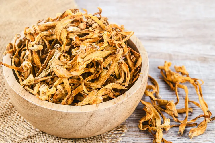photo of The Dried cordyceps 