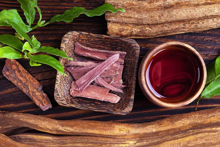 photo of Ayahuasca brew with mimosa hostilis