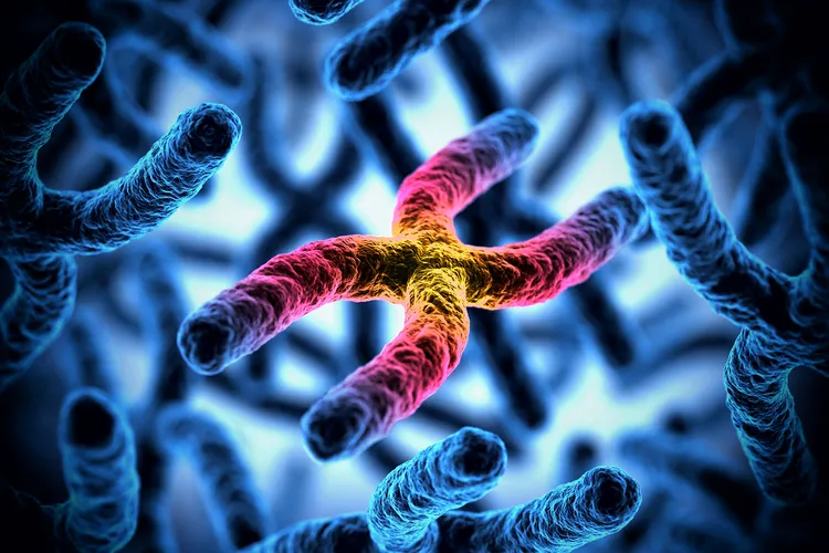 photo of Chromosomes 3d illustration