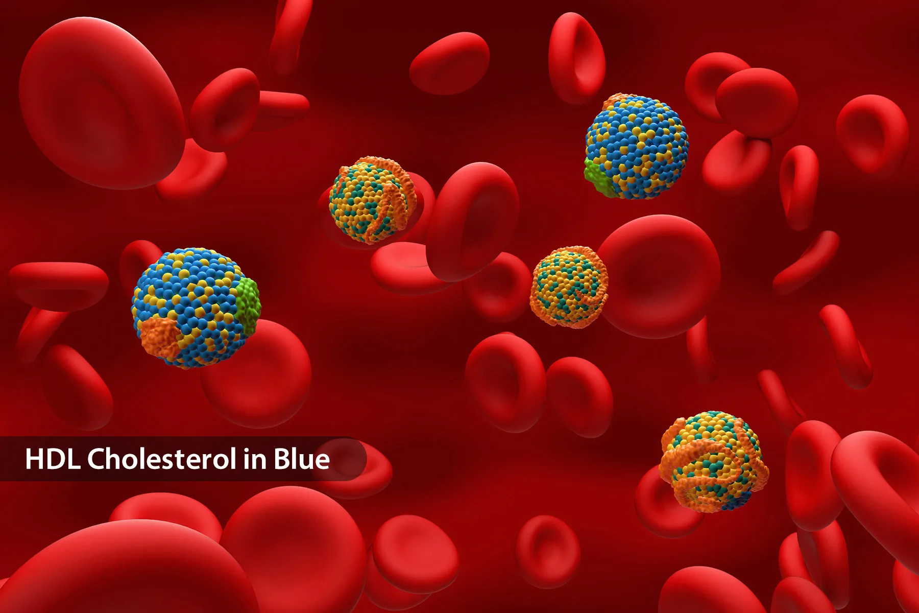 photo of LDL cholesterol in bloodstream