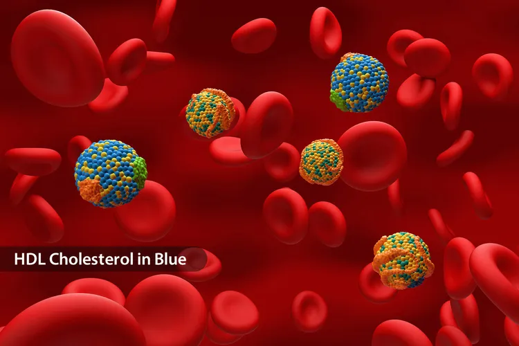 photo of LDL cholesterol in bloodstream