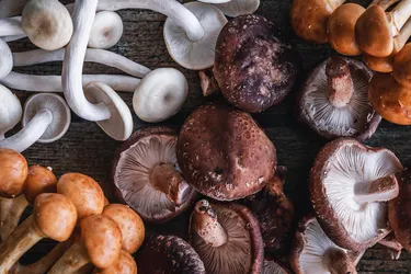 Mushrooms are widely known for their great taste and amazing health benefits. Packed with a ton of essential vitamins and minerals, they make for an excellent addition to your diet, adding flavor to many different recipes. (Photo credit: RooM / Getty Images)