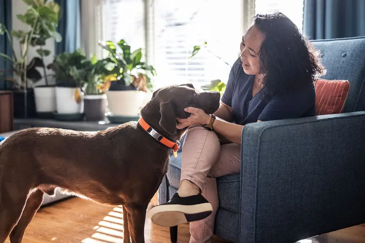 photo of woman with dog