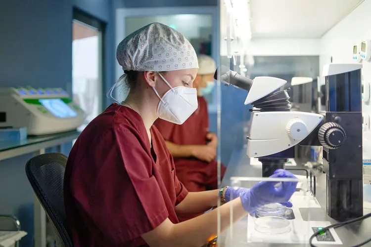photo of ivf lab
