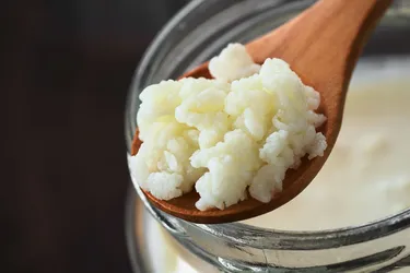 Kefir grains have yeast and good bacteria. When you add them to cow, goat, or sheep milk, you get kefir. (Photo credit: Ildipapp/Dreamstime) 