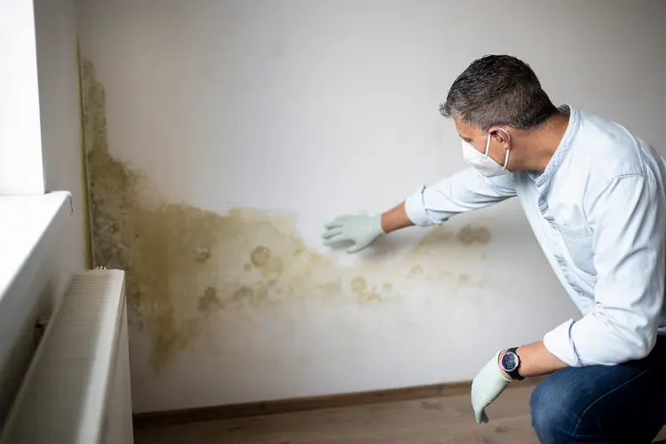 photo of man inspecting the mold in the house