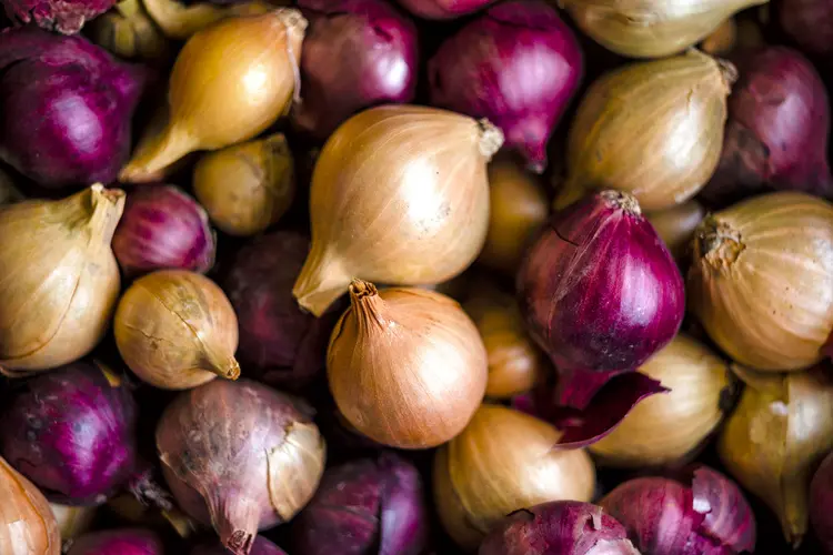 photo of Yellow, red and purple onions