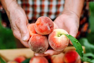 Peaches are low in calories and fat, and rich in vitamins, minerals, and antioxidants.