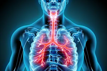 Physiology is the area of science that helps understand how your body's systems function when they are healthy and sick. When working well, your lungs help transport gas from the air into your bloodstream. (Yodiyim/Dreamstime)