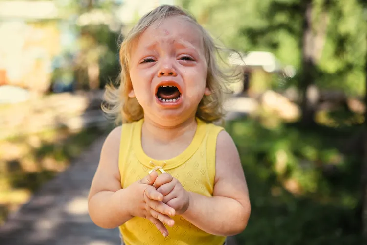 photo of Toddler girl having a temper tantrum.