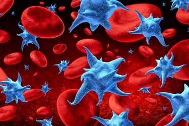 You need platelets for your blood to clot. When your platelet counts are low, you may be at risk for bleeding.(Photo credit: Skypixel/Dreamstime)