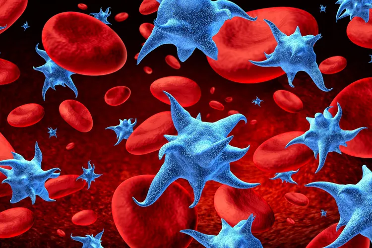 You need platelets for your blood to clot. When your platelet counts are low, you may be at risk for bleeding.(Photo credit: Skypixel/Dreamstime)