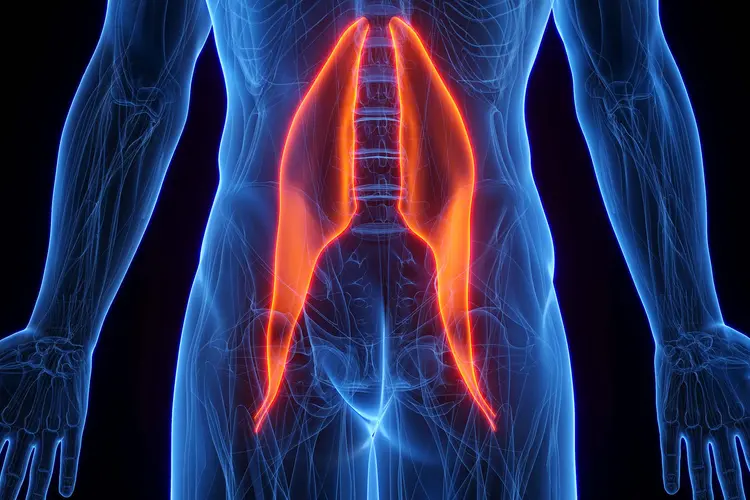 photo of psoas major