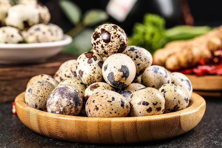 photo of quail eggs