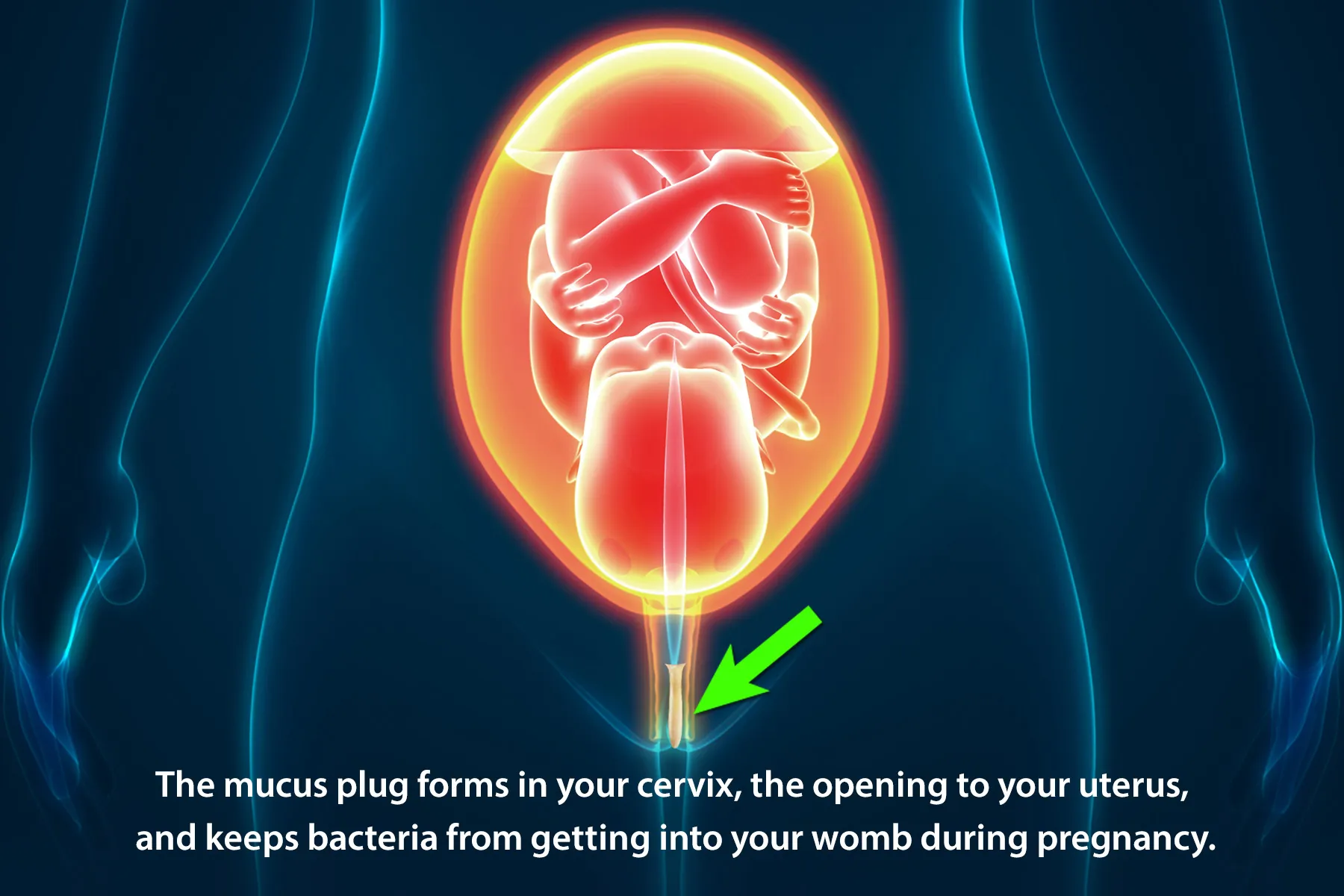 photo of mucus plug during pregnancy