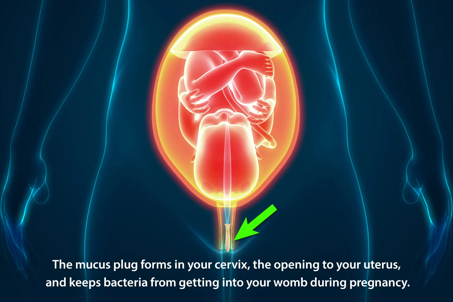Can Pregnancy Discharge Look Like Mucus Plug Infoupdate