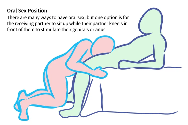 illustration of oral sex position