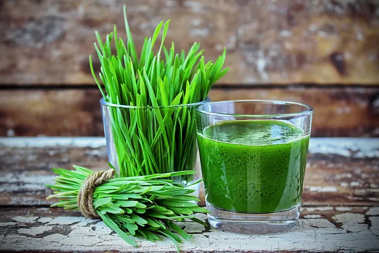 photo of juice wheatgrass in a glass