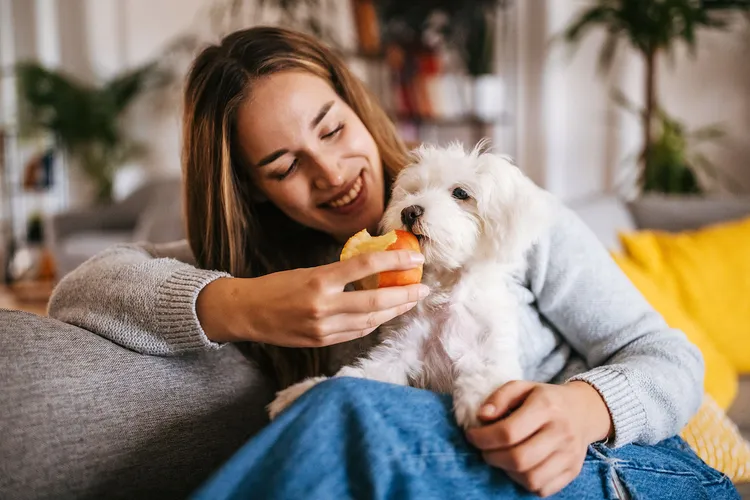 photo of woman feeding puppy an apple