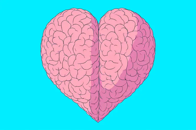 heart brain illustration