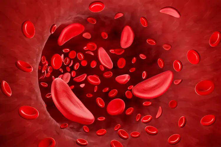 photo of Red Blood cells