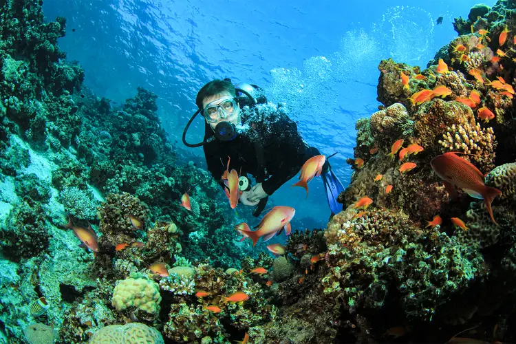 photo of Scuba Diver explores Coral Reef