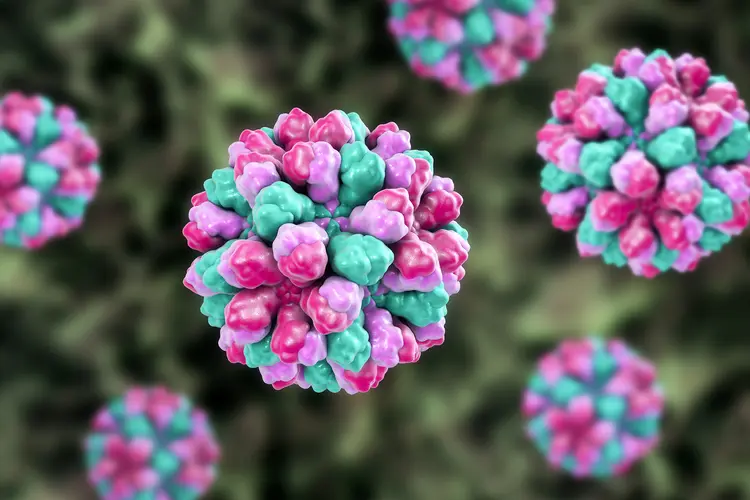 photo of norovirus