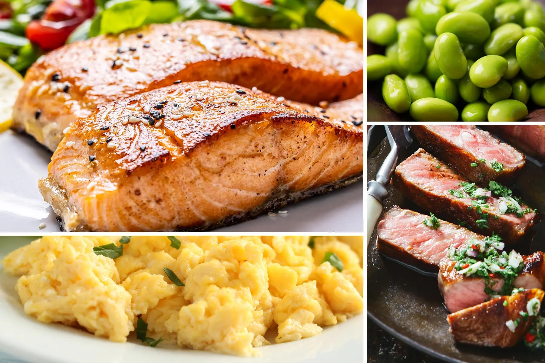 foods rich in l carnitine 7 Foods High in Leucine and Why You Need It