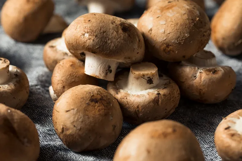 6 Reasons to Eat More Mushrooms