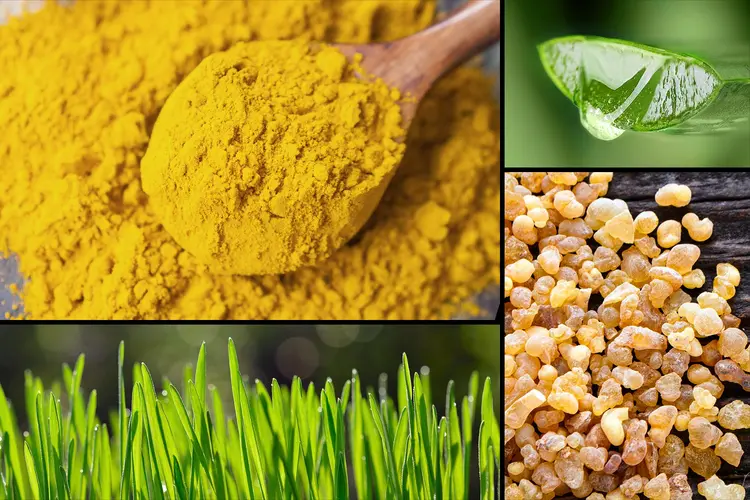 photo of turmeric, aloe vera, bowswella, wheat grass