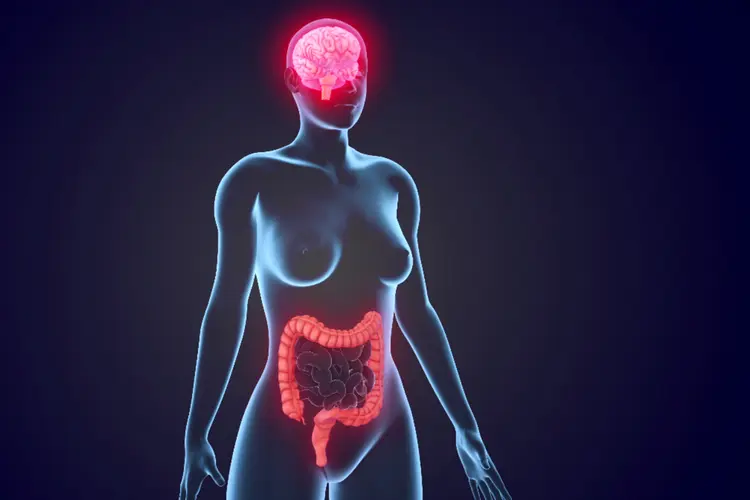 illustration of brain / gut connection