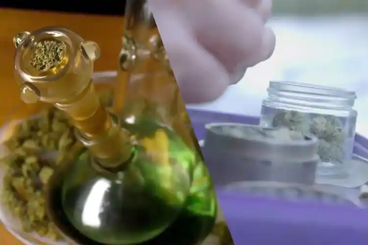Myths and Facts: Recreational Marijuana and the Teenage Brain