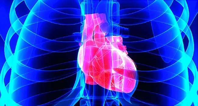 Insulin Resistance and Your Heart