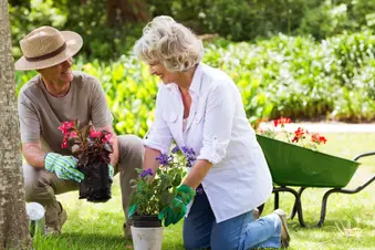 photo of couple gardening