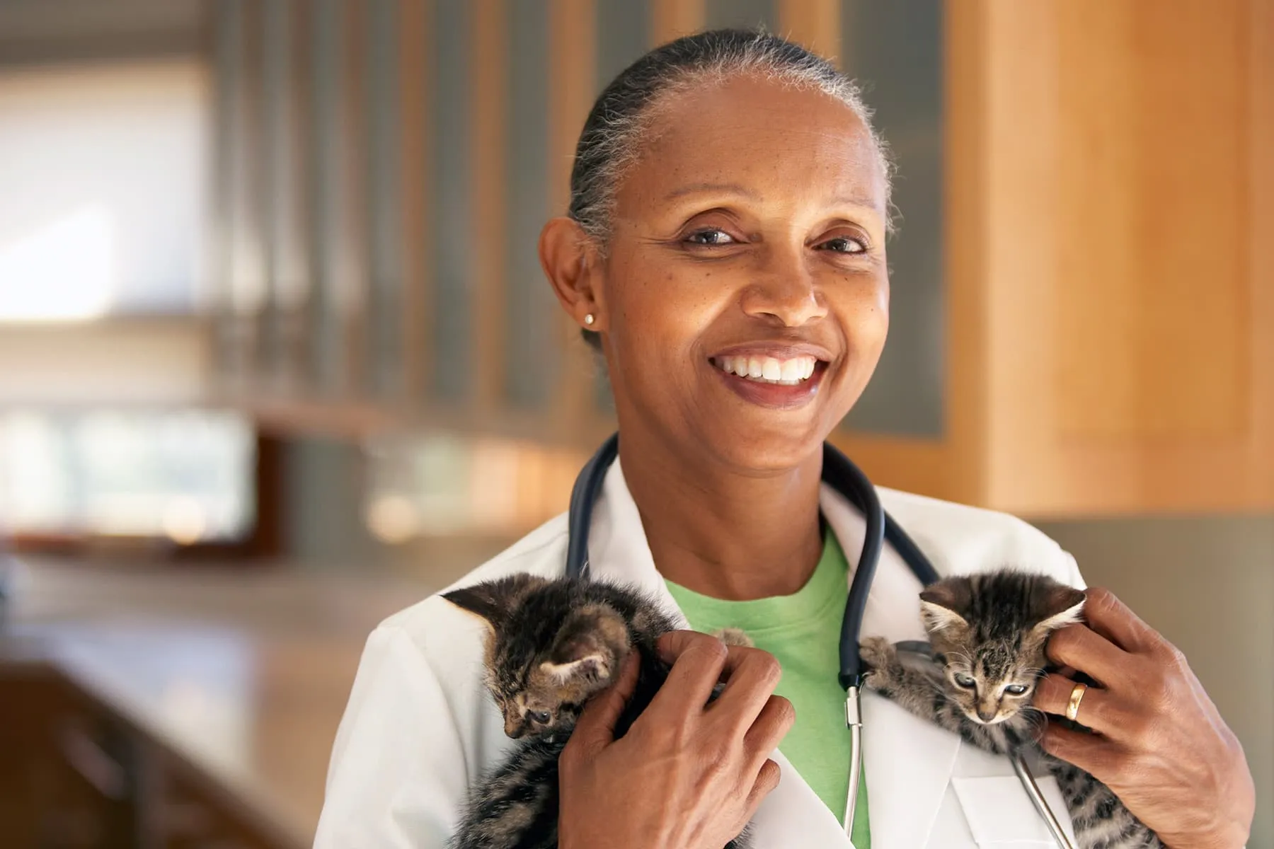 How to Choose the Right Vet