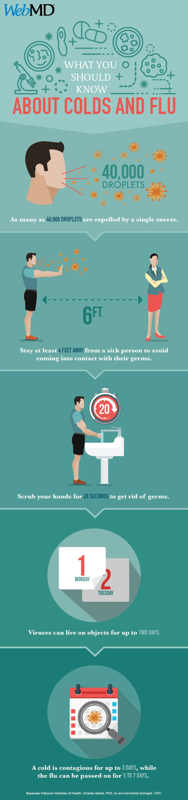 infographic