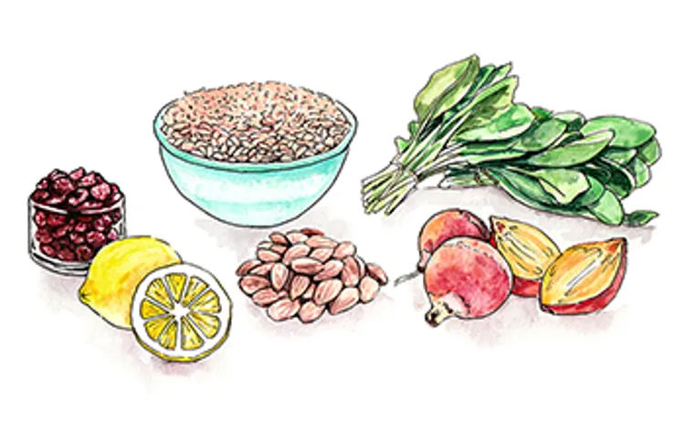 illustration of farro salad