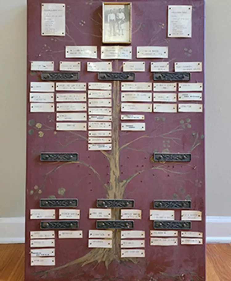 photo of family tree