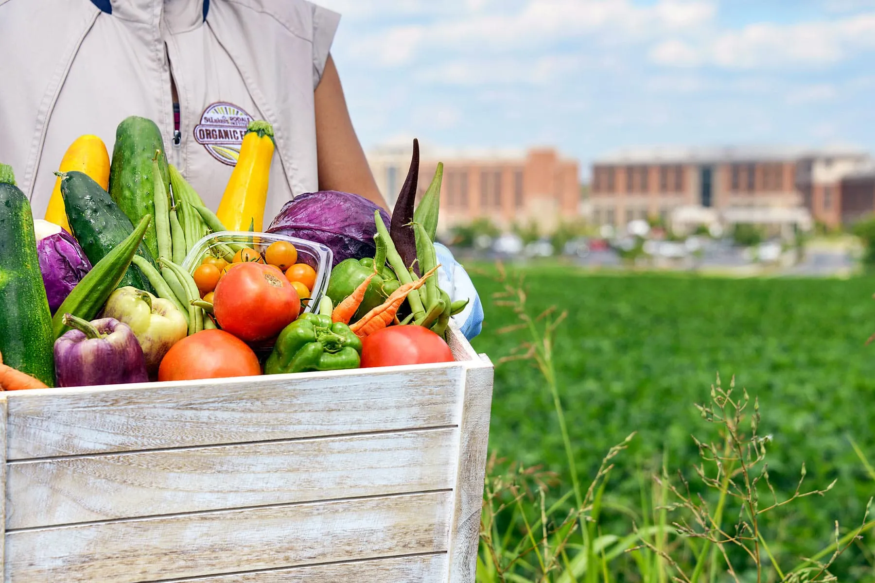 photo of man holding crate of fresh produce