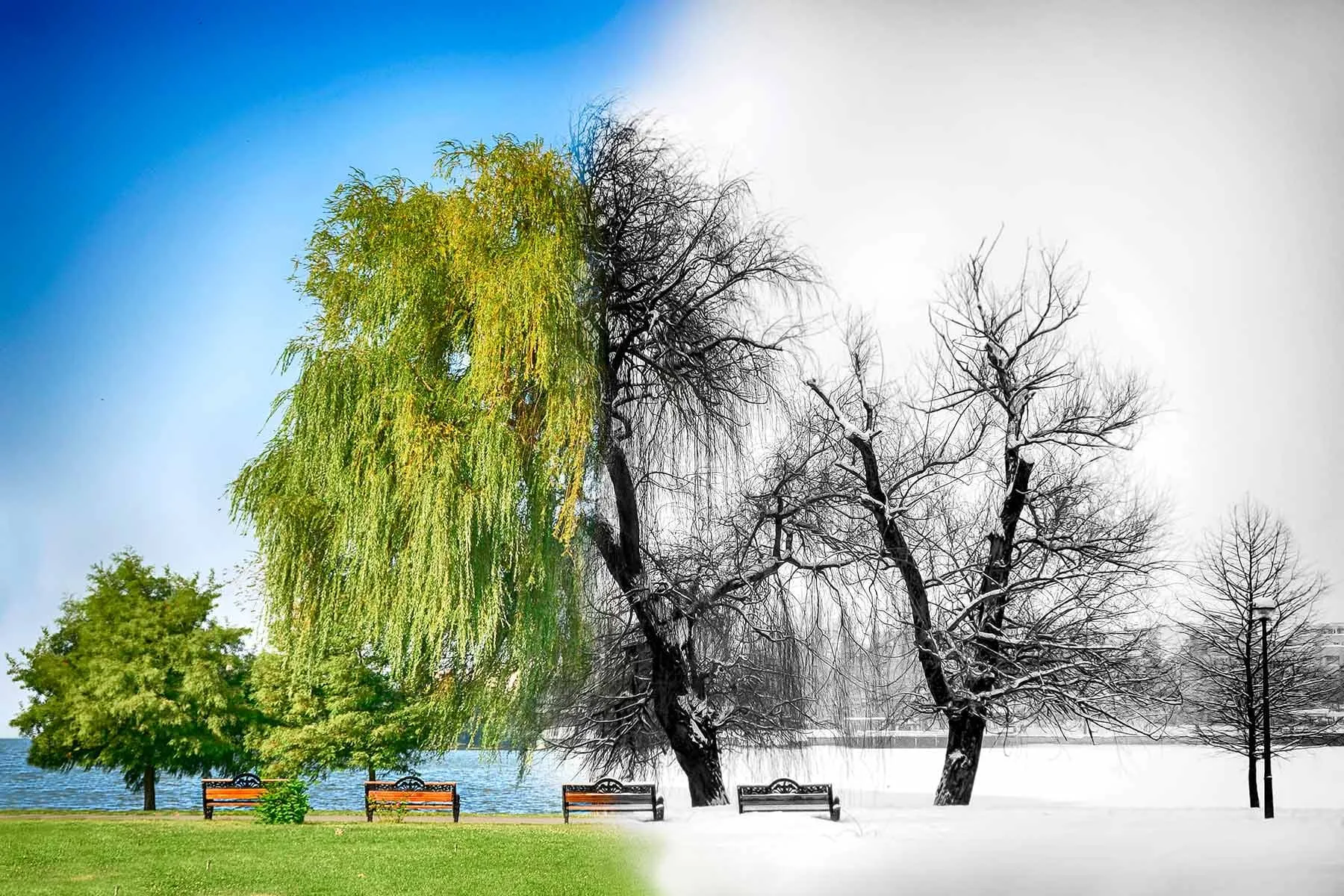 Rheumatoid Arthritis Pain When the Season Changes