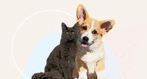 photo of happy cat and dog