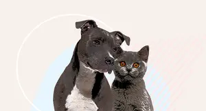 photo of happy dog and cat